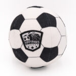 Sportballz - Soccer